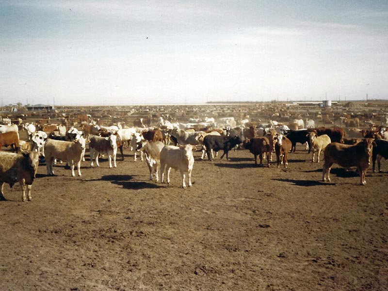 Rancho "La Pau"